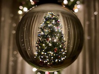 Christmas Reflections